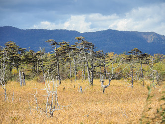 Similar image 22283168