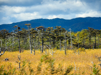 Similar image 22283169