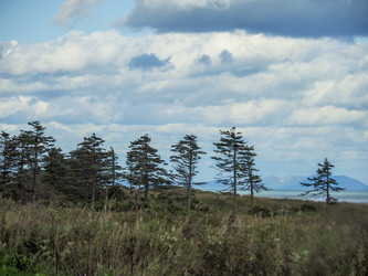 Similar image 22283170