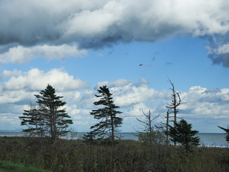 Similar image 22283173