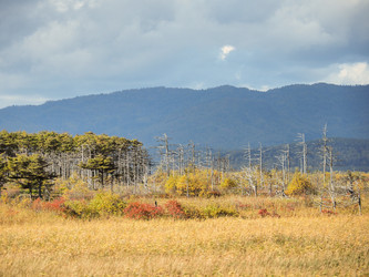 Similar image 22283175