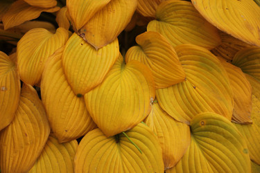 Similar image 22279886