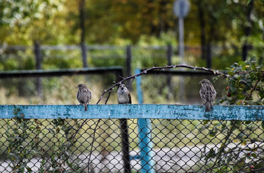 Similar image 22282427