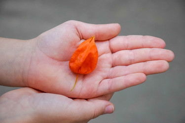 Similar image 22287797