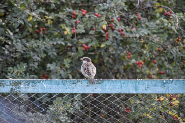 Similar image 22282429