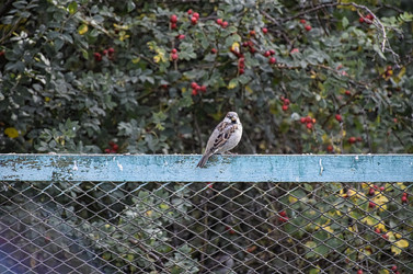 Similar image 22282430