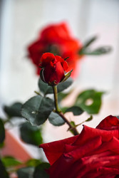 Similar image 22282433