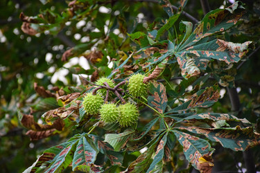 Similar image 22282434