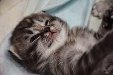 Similar image 22282435