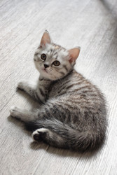 Similar image 22282436