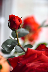 Similar image 22282437