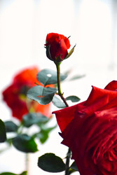 Similar image 22282438