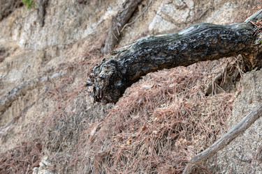 Similar image 22281467