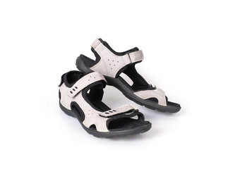 Similar image 22288349