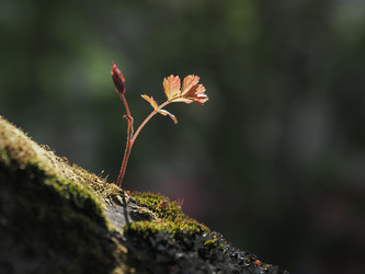 Similar image 22289404