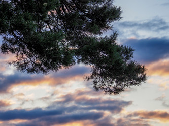 Similar image 22283176