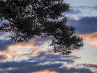 Similar image 22283177