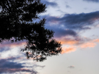 Similar image 22283178