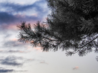 Similar image 22283179