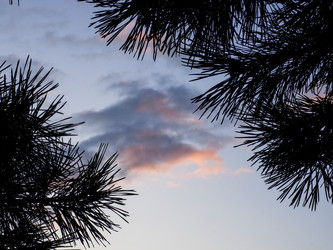 Similar image 22283180