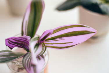 Similar image 22284492