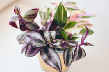 Similar image 22284493