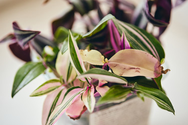 Similar image 22284494