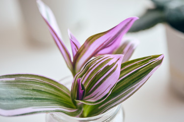 Similar image 22284495