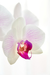 Similar image 22284797