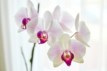 Similar image 22284798