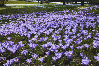 Similar image 22284806