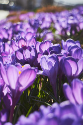 Similar image 22284807