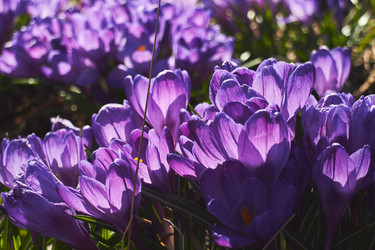 Similar image 22284808