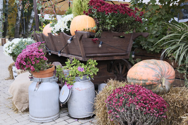 Similar image 22281955