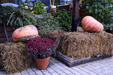 Similar image 22281956