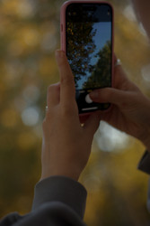 Similar image 22281480