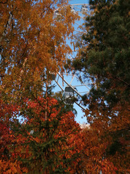 Similar image 22281488