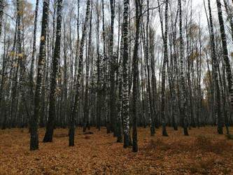 Similar image 22281489