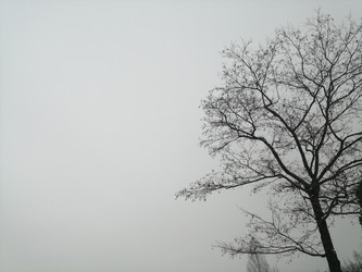 Similar image 22281490