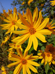 Similar image 22281493