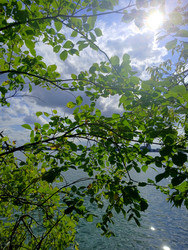 Similar image 22281499