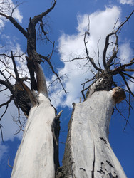 Similar image 22281500