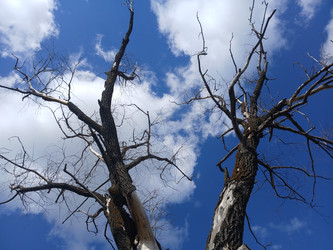 Similar image 22281501