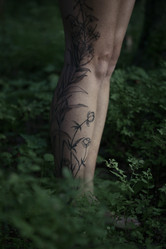 Similar image 22283296