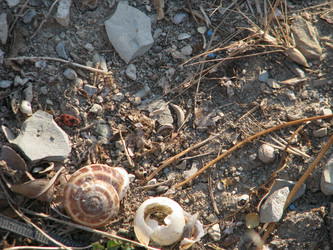 Similar image 22281508