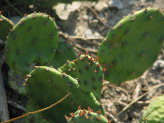 Similar image 22281509