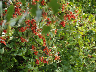 Similar image 22281513