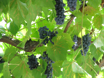 Similar image 22281514