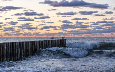 Similar image 22281519