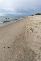 Similar image 22281527